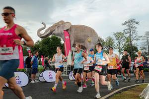 BIB: 
                            <button type="button" onclick="openModal(26528311)" class="btn btn-primary btn-sm float-right btn-popup" data-toggle="modal" data-target=".modal-high-quality">
                        <i class="fas fa-shopping-cart"></i> Add to Cart
                    </button>
                                            <button type="button" onclick="isThisMe(26528311, true)" class="btn btn-success btn-sm float-right btn-popup btn-isme hidden" data-toggle="tooltip" data-placement="bottom" title="นี่คือรูปของคุณใช่ไหม คลิกที่นี่เพื่อเอาเข้าอัลบั้ม">
                        <i class="fas fa-plus"></i> Add to album
                    </button>
                    <button type="button" onclick="isThisMe(26528311, false)" class="btn btn-warning btn-sm float-right btn-popup btn-isnotme hidden">
                        <i class="fas fa-ban"></i> Remove from album
                    </button>